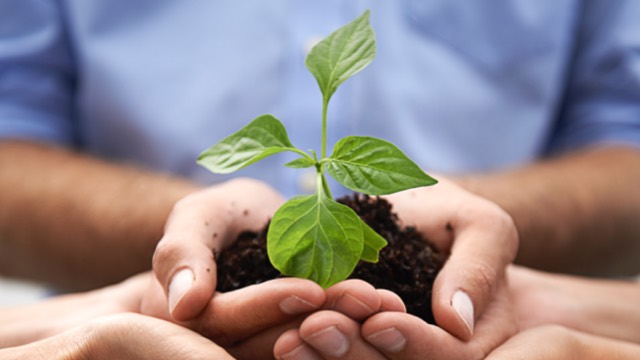 Eco-friendly Wedding Tips